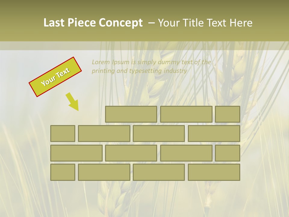 Wheat Background PowerPoint Template