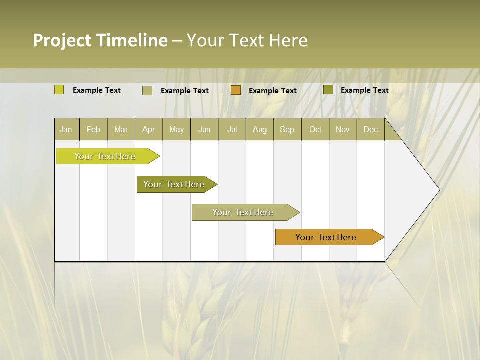 Wheat Background PowerPoint Template