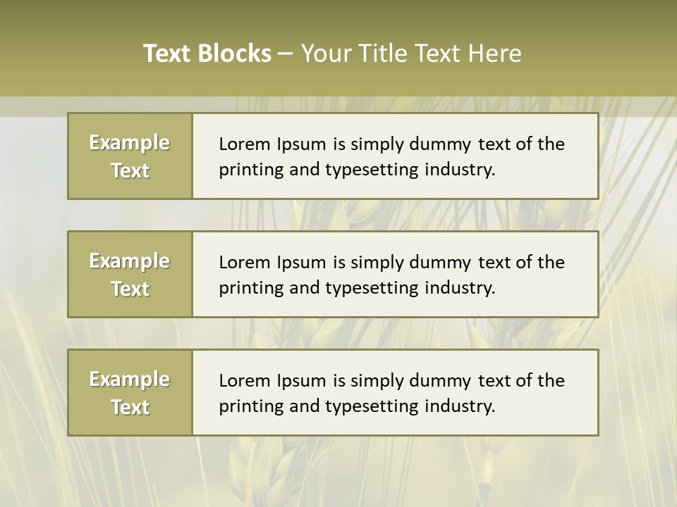 Wheat Background PowerPoint Template