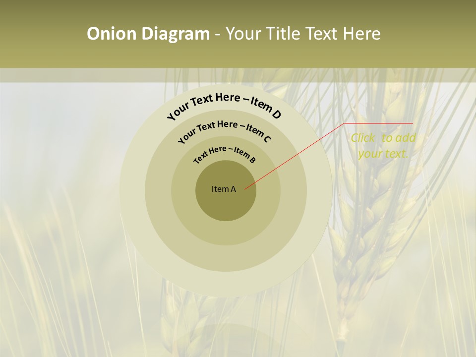 Wheat Background PowerPoint Template