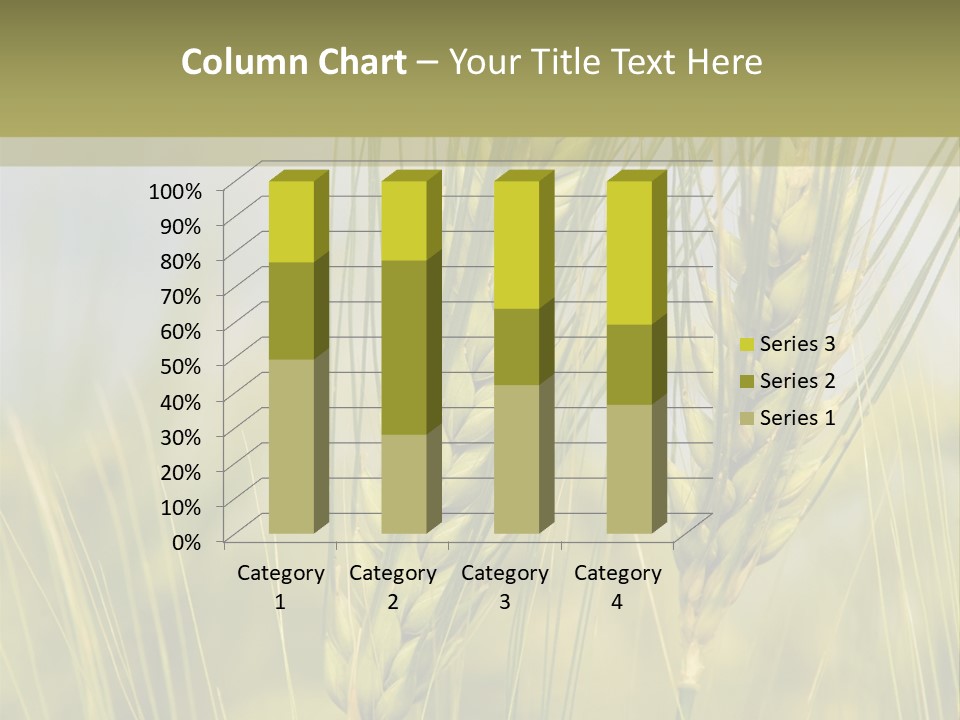 Wheat Background PowerPoint Template