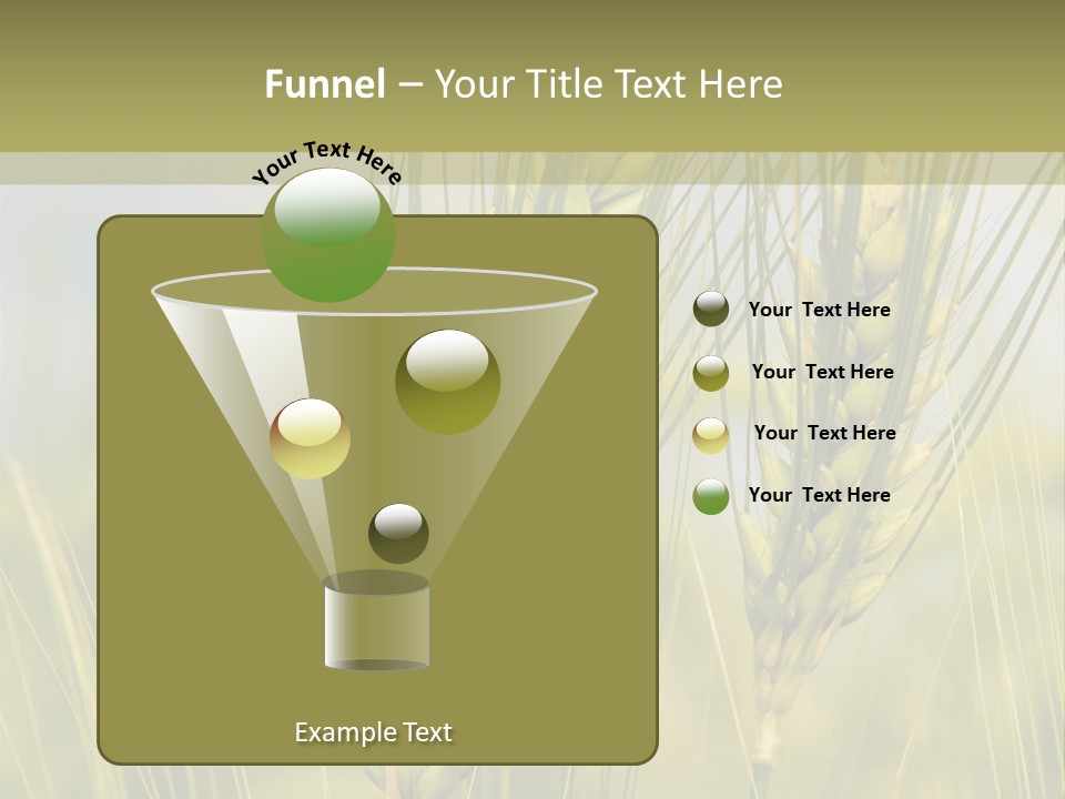 Wheat Background PowerPoint Template