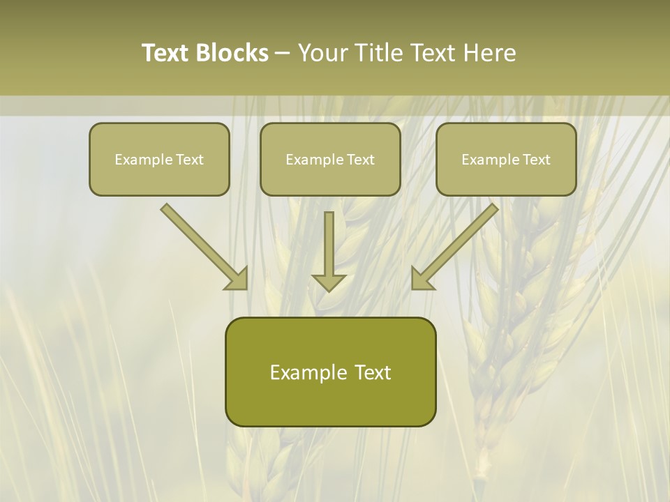Wheat Background PowerPoint Template