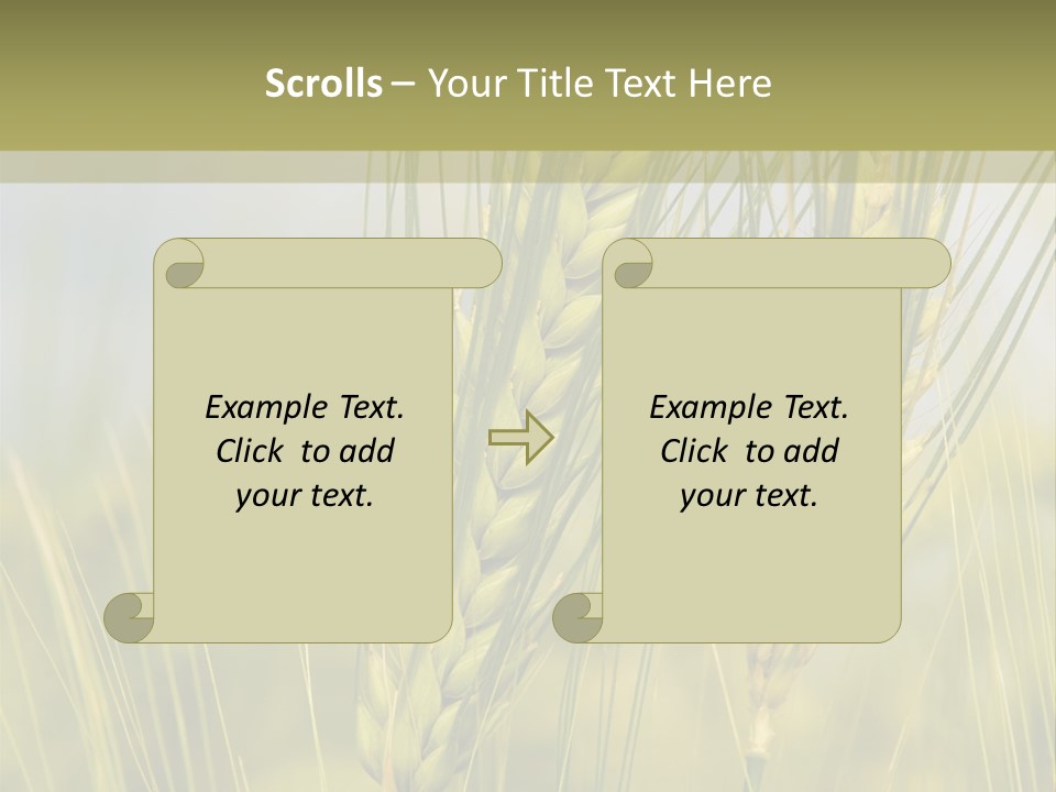 Wheat Background PowerPoint Template