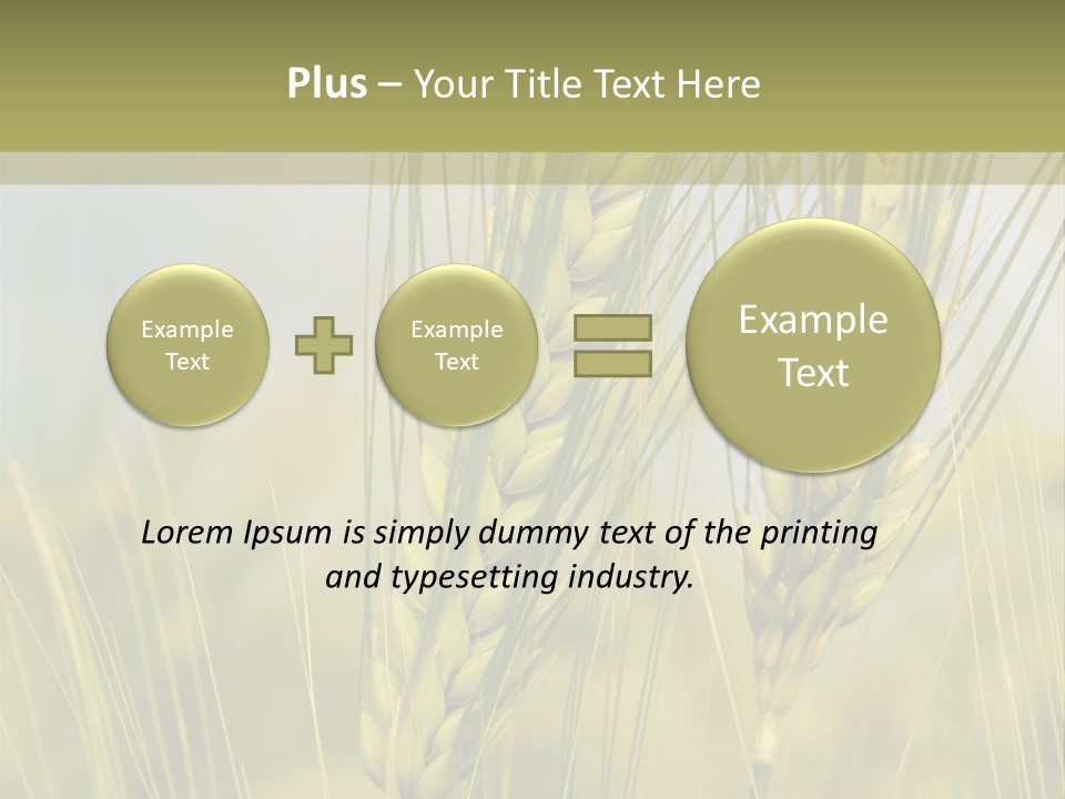 Wheat Background PowerPoint Template