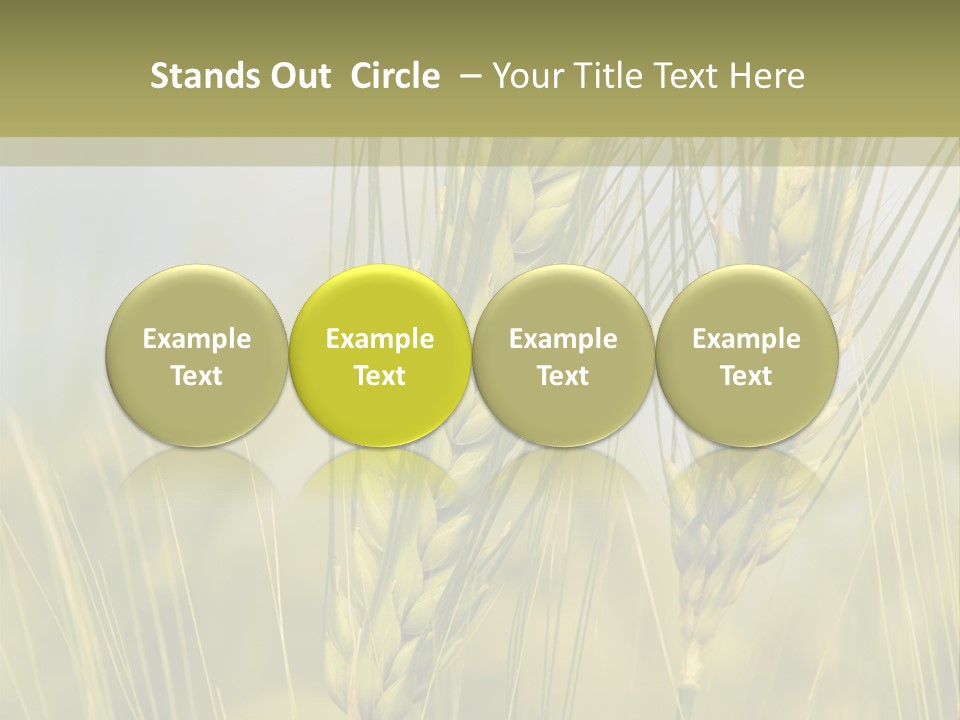Wheat Background PowerPoint Template