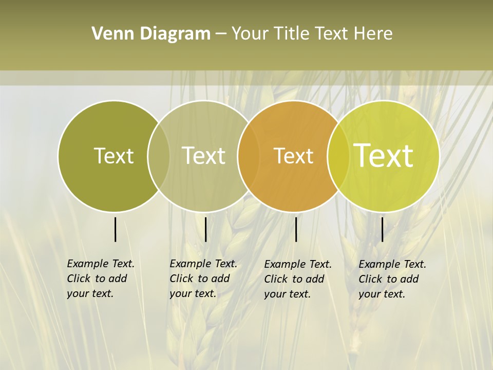 Wheat Background PowerPoint Template