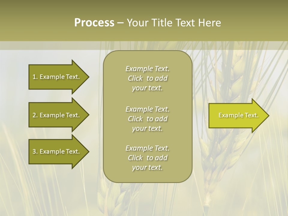 Wheat Background PowerPoint Template