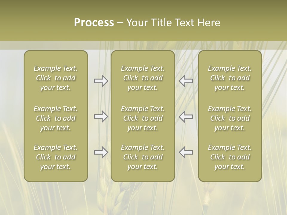 Wheat Background PowerPoint Template