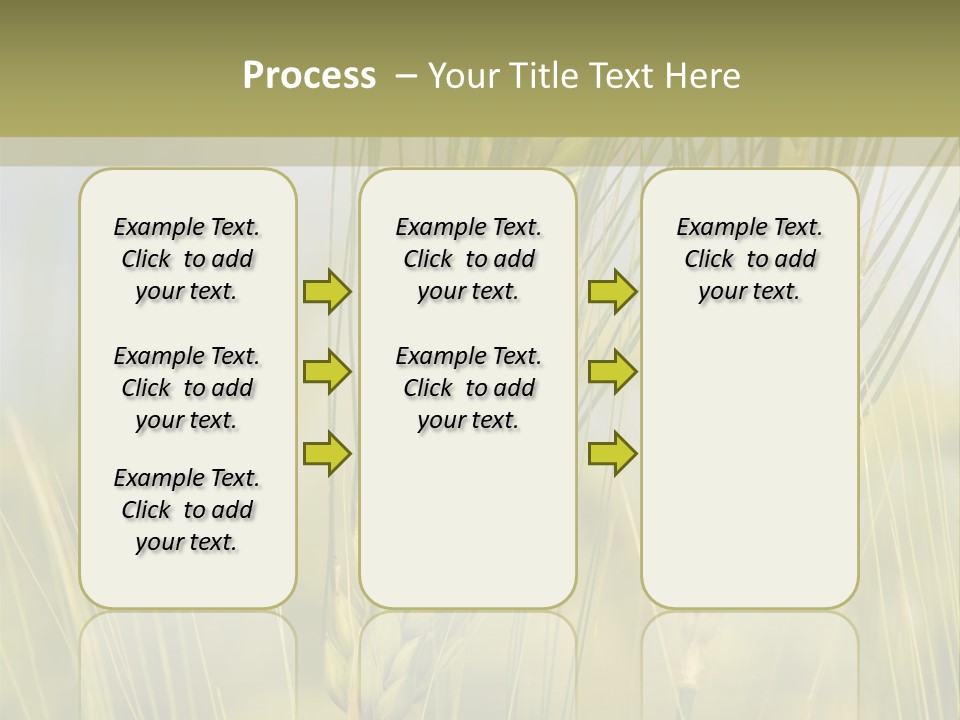 Wheat Background PowerPoint Template