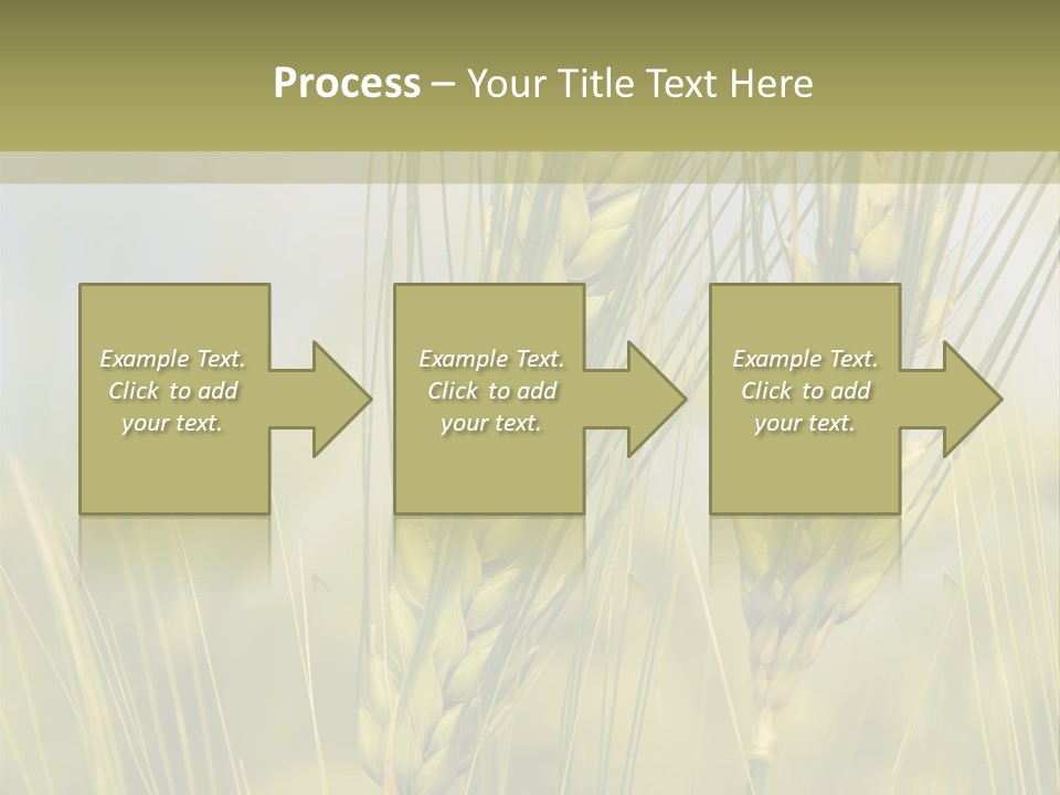 Wheat Background PowerPoint Template