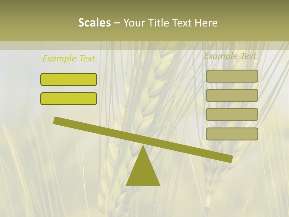 Wheat Background PowerPoint Template
