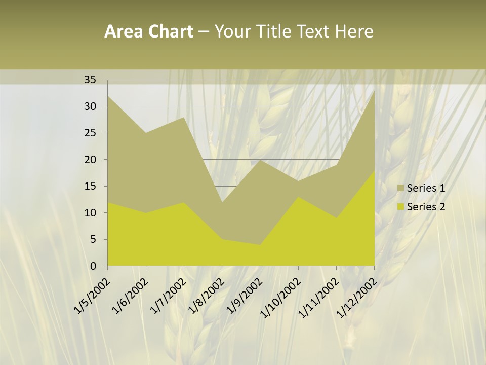 Wheat Background PowerPoint Template