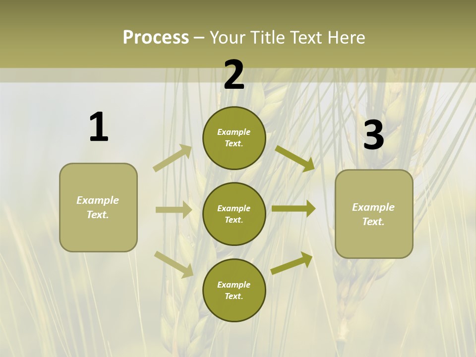 Wheat Background PowerPoint Template