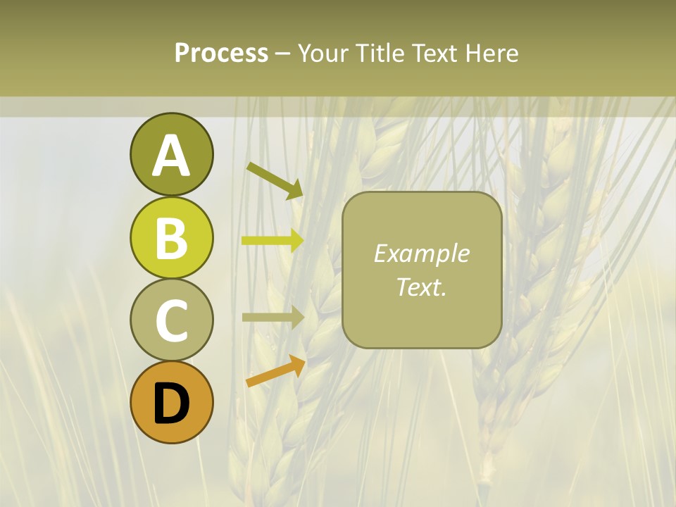 Wheat Background PowerPoint Template