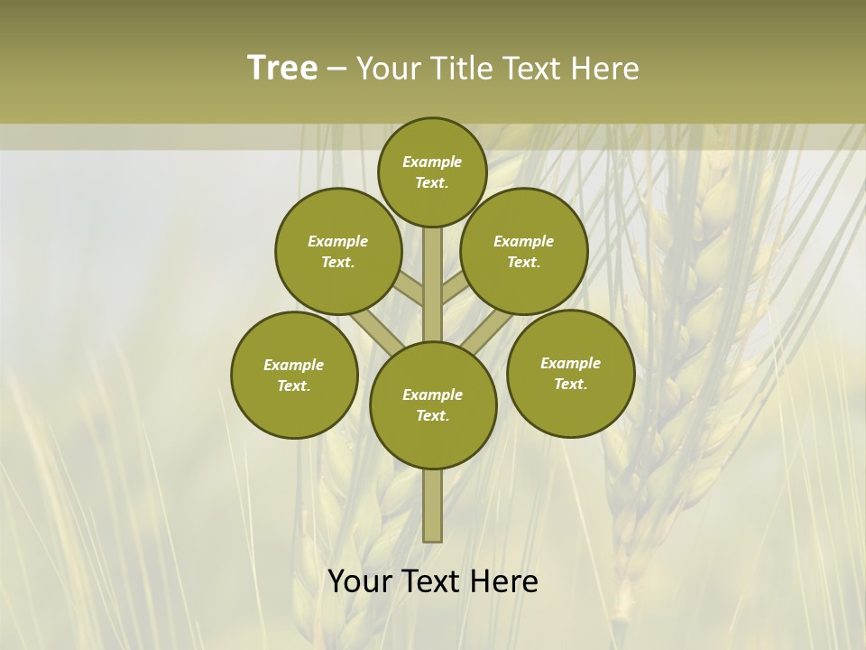 Wheat Background PowerPoint Template