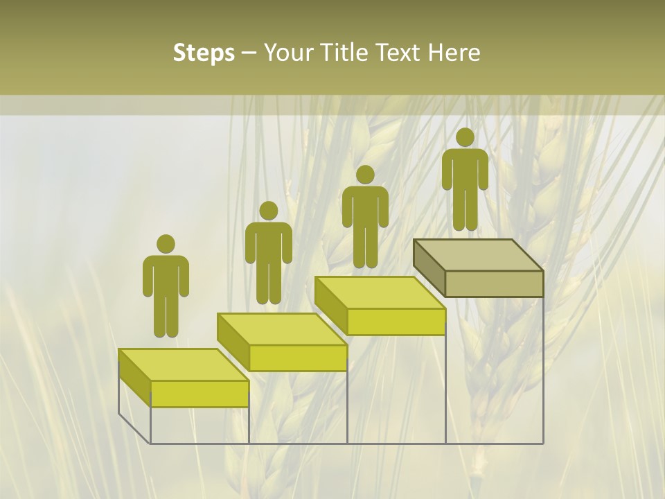 Wheat Background PowerPoint Template