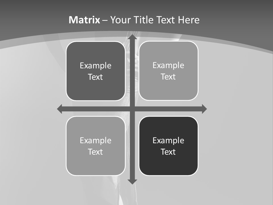 High Contrast Portrait PowerPoint Template