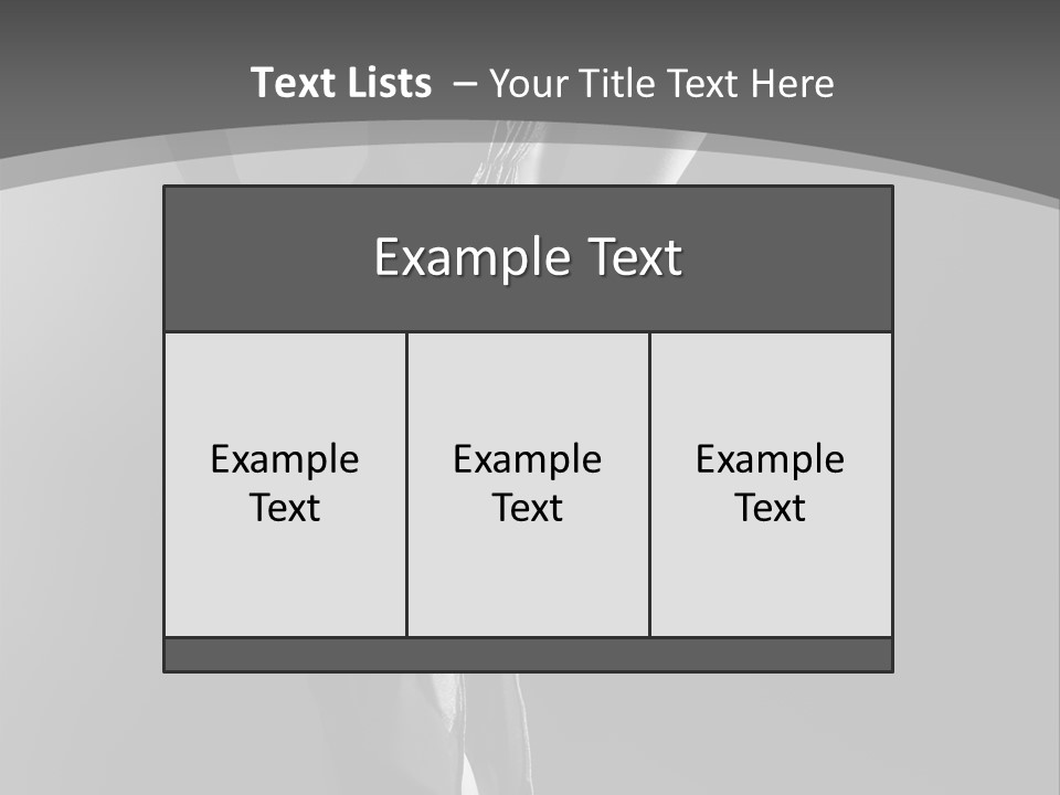 High Contrast Portrait PowerPoint Template