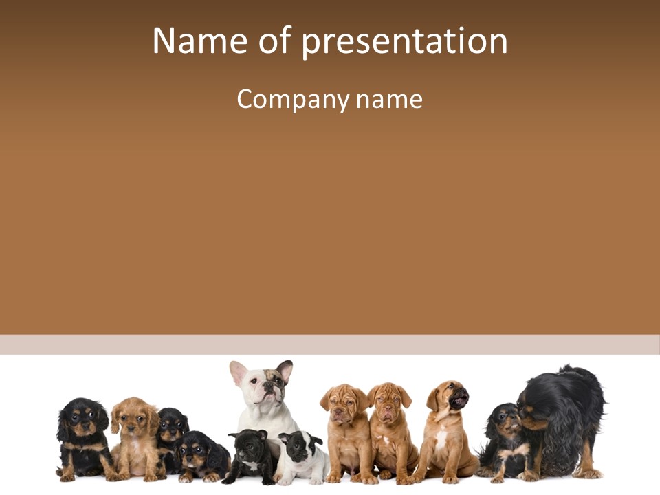 Pet Veterinary PowerPoint Template