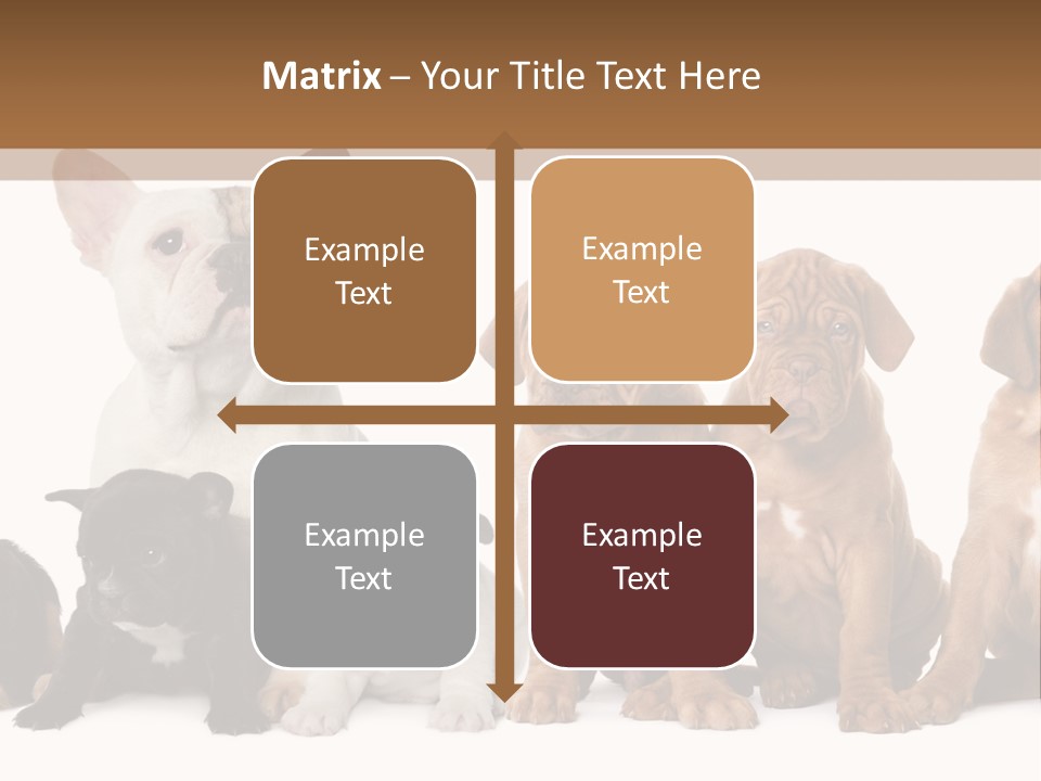 Pet Veterinary PowerPoint Template