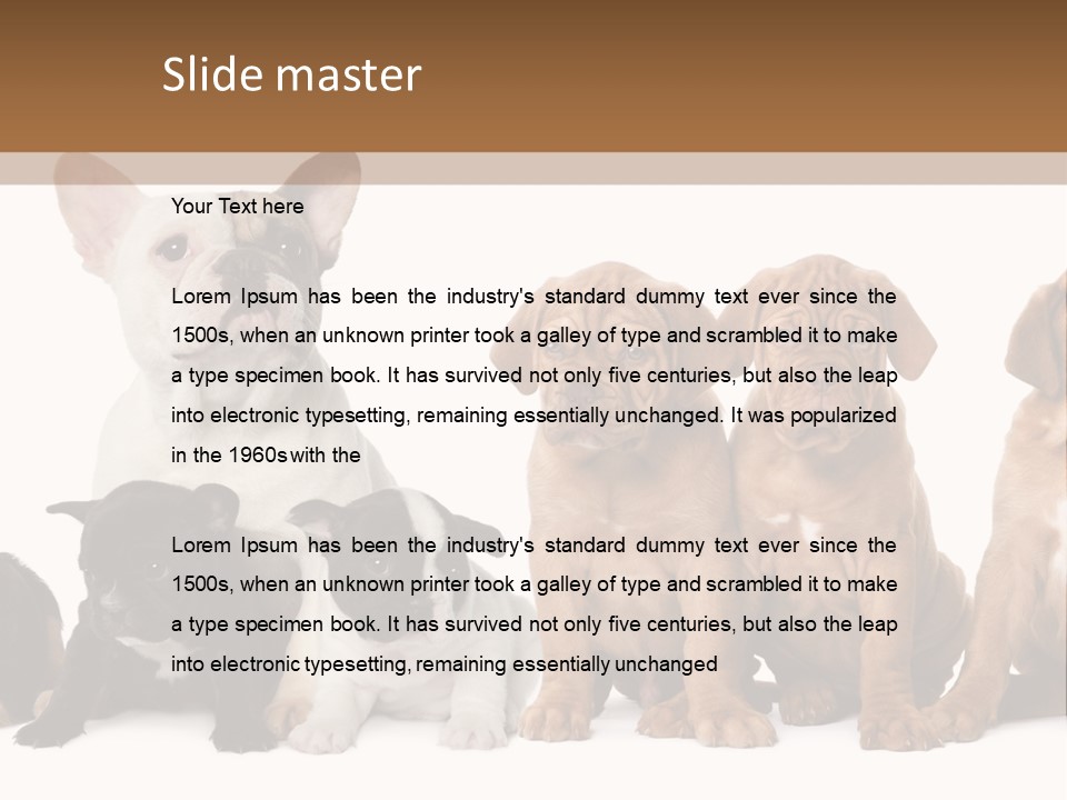 Pet Veterinary PowerPoint Template