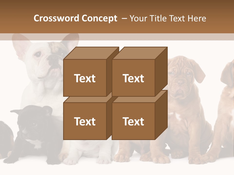Pet Veterinary PowerPoint Template