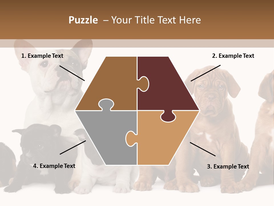 Pet Veterinary PowerPoint Template