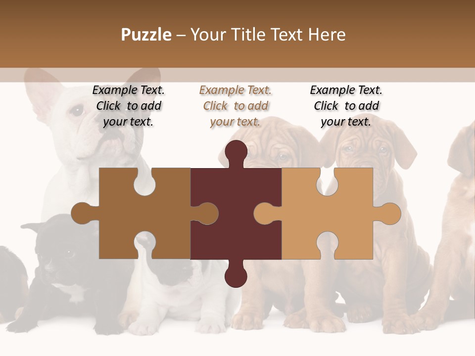 Pet Veterinary PowerPoint Template