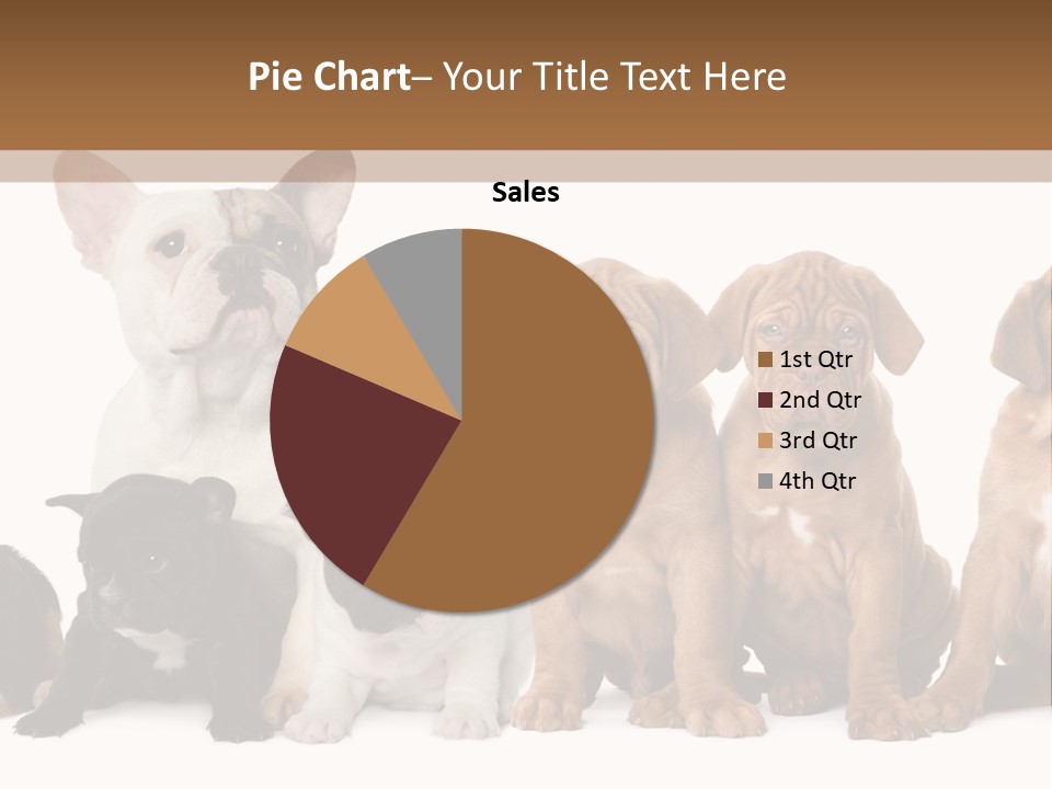 Pet Veterinary PowerPoint Template