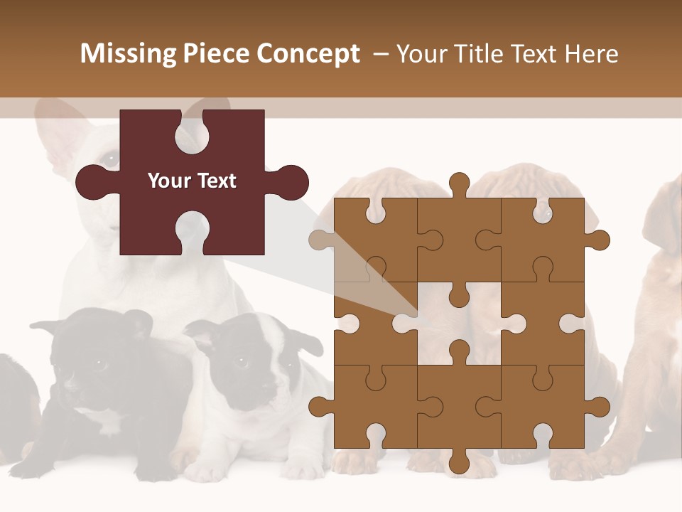 Pet Veterinary PowerPoint Template