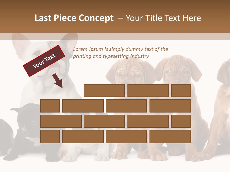 Pet Veterinary PowerPoint Template