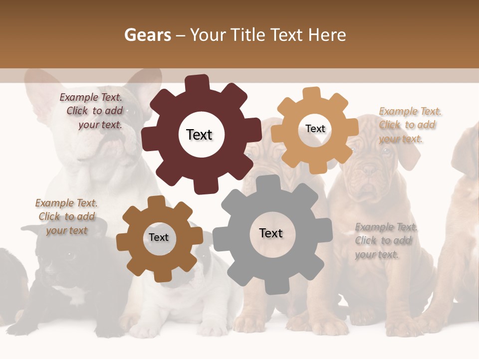 Pet Veterinary PowerPoint Template