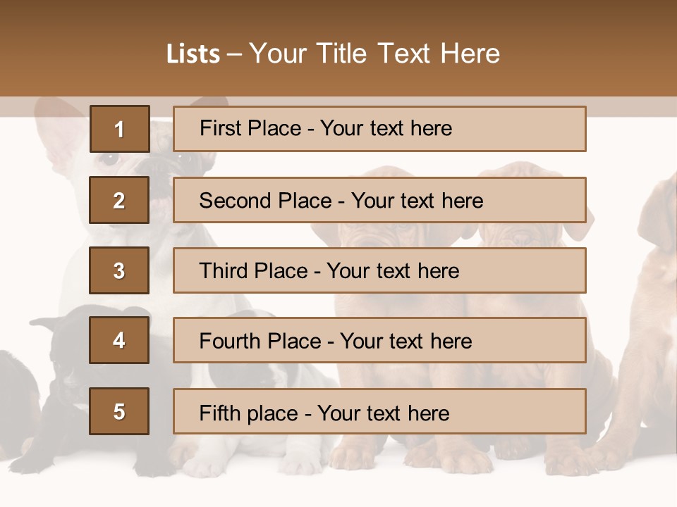 Pet Veterinary PowerPoint Template