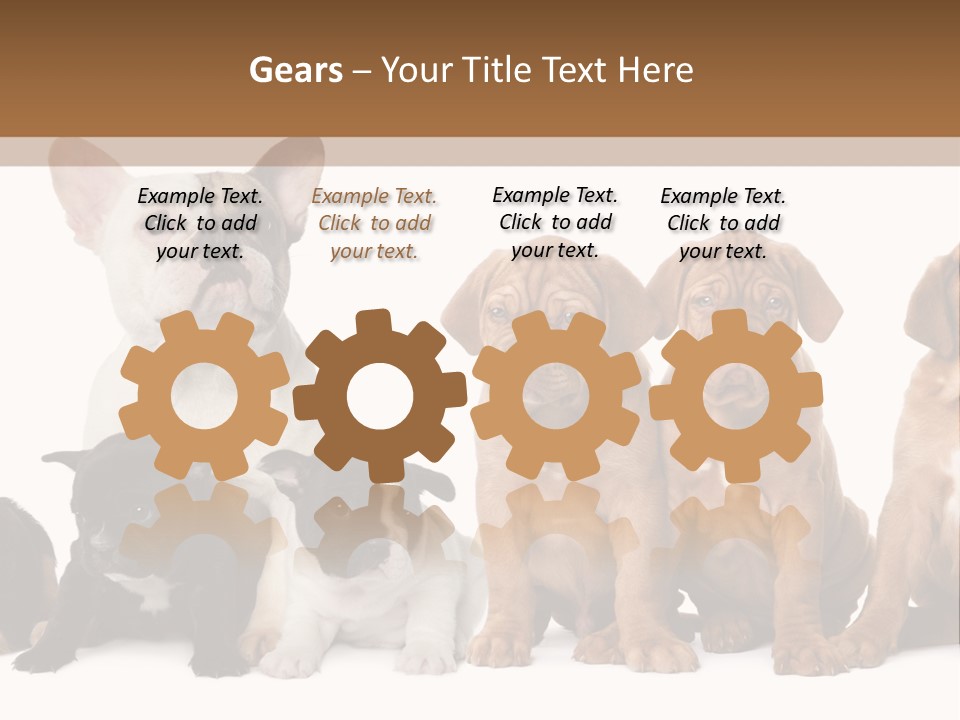 Pet Veterinary PowerPoint Template
