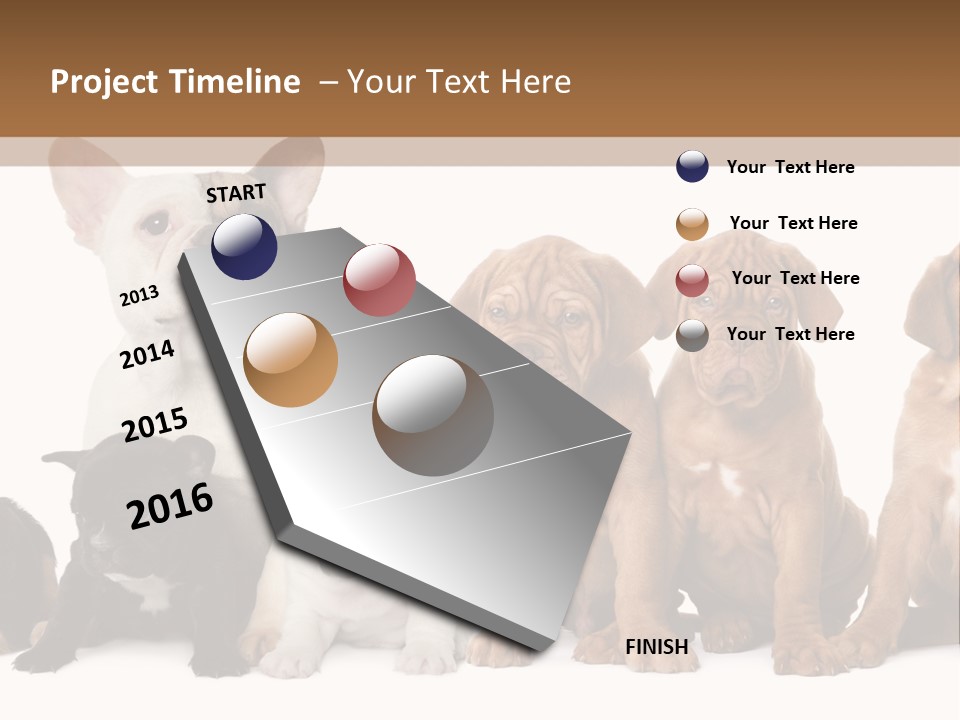 Pet Veterinary PowerPoint Template