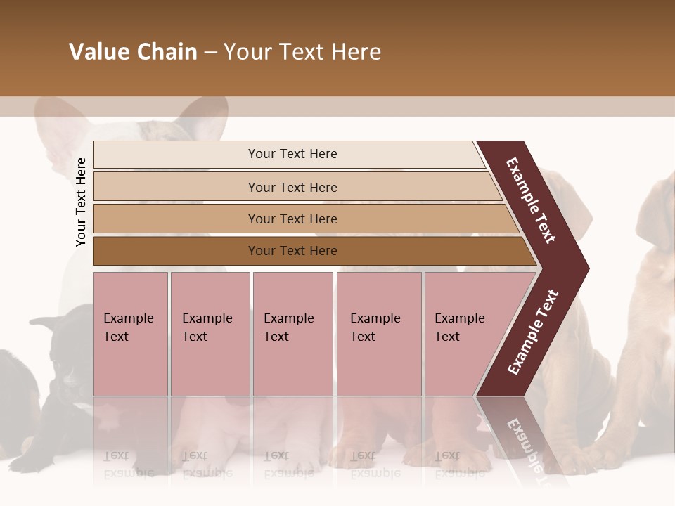 Pet Veterinary PowerPoint Template