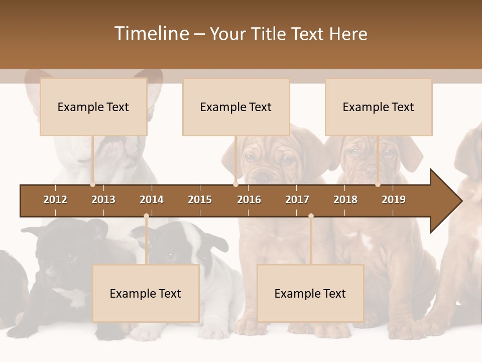Pet Veterinary PowerPoint Template