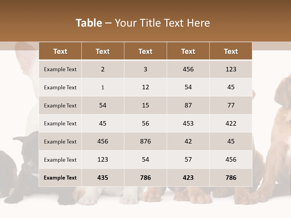 Pet Veterinary PowerPoint Template