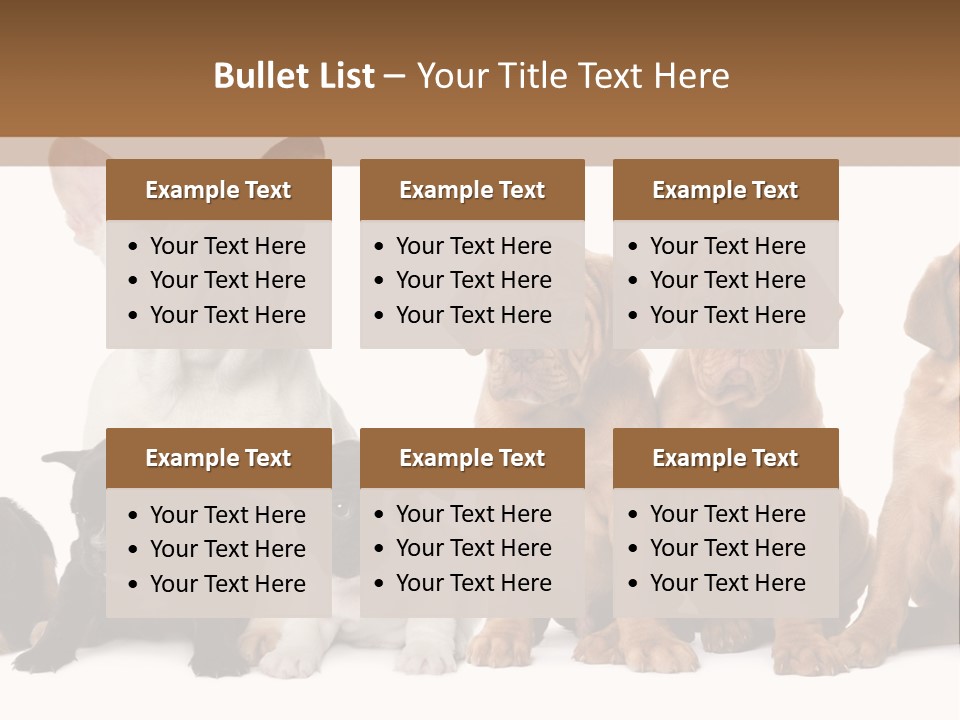 Pet Veterinary PowerPoint Template