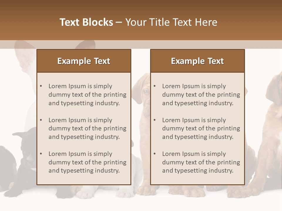 Pet Veterinary PowerPoint Template