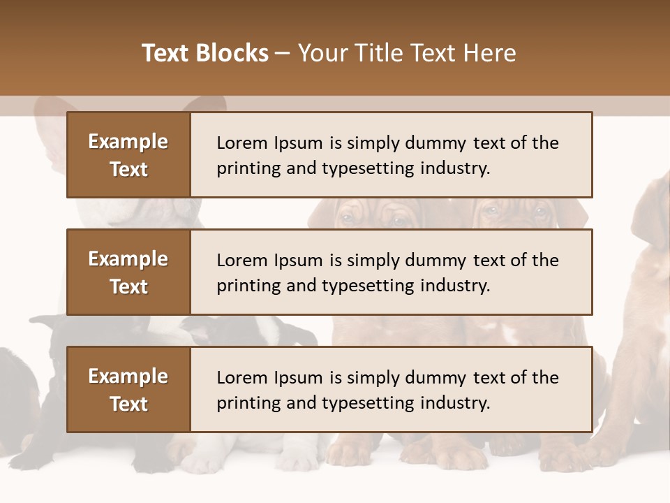 Pet Veterinary PowerPoint Template