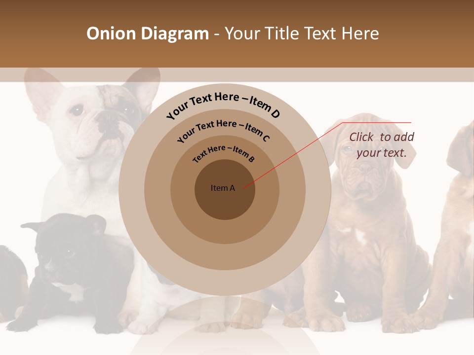 Pet Veterinary PowerPoint Template