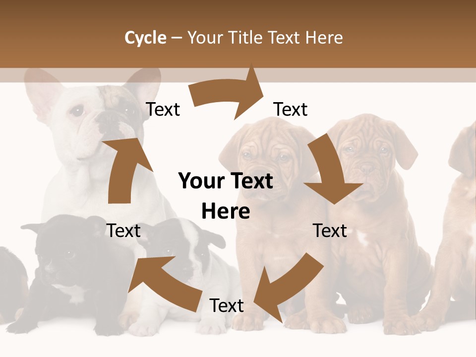 Pet Veterinary PowerPoint Template