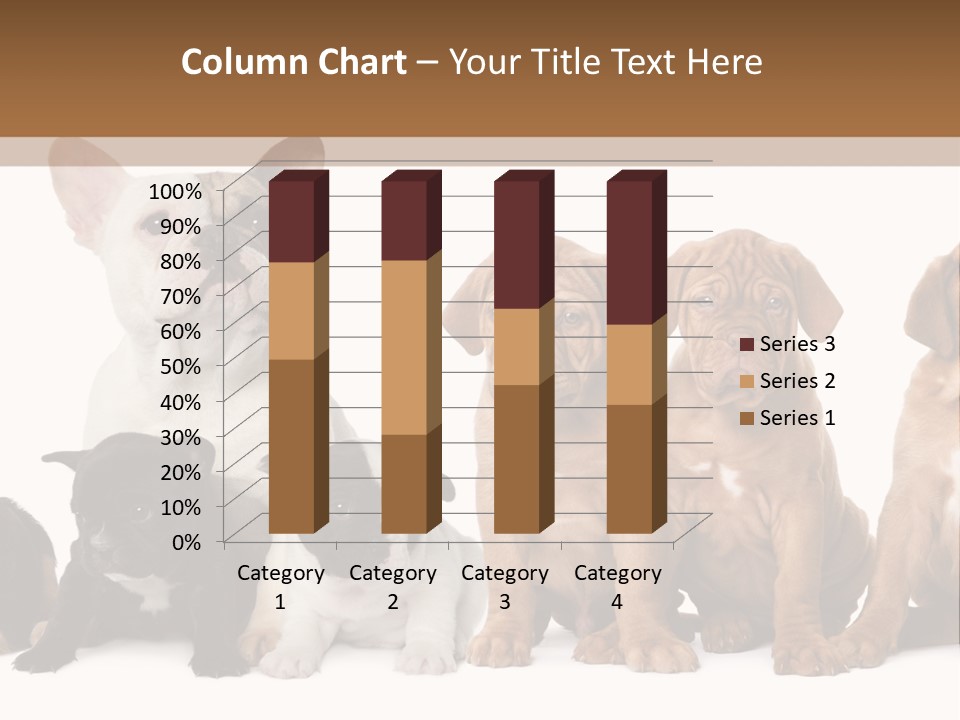 Pet Veterinary PowerPoint Template