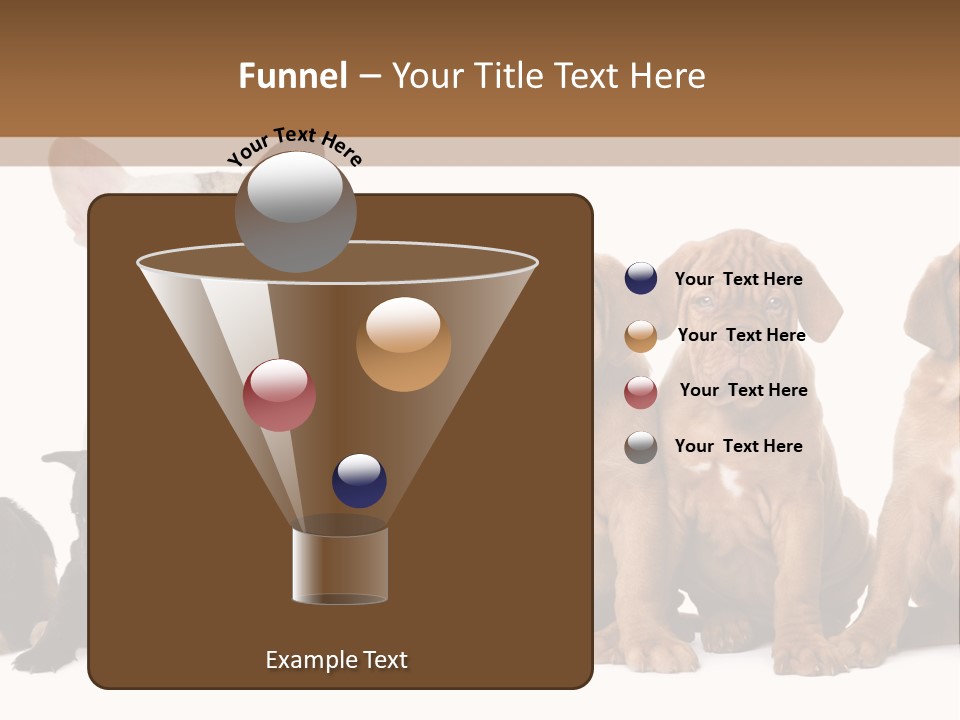 Pet Veterinary PowerPoint Template