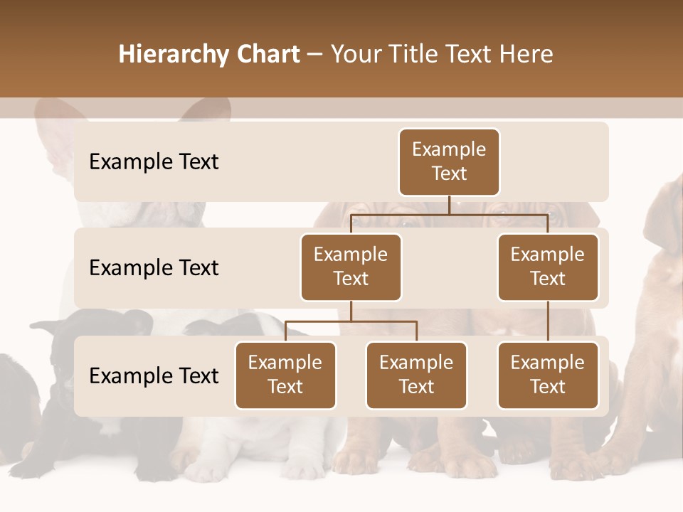 Pet Veterinary PowerPoint Template