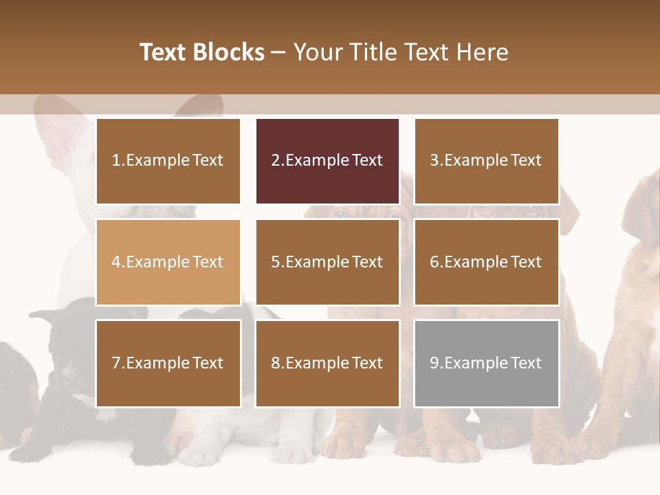 Pet Veterinary PowerPoint Template