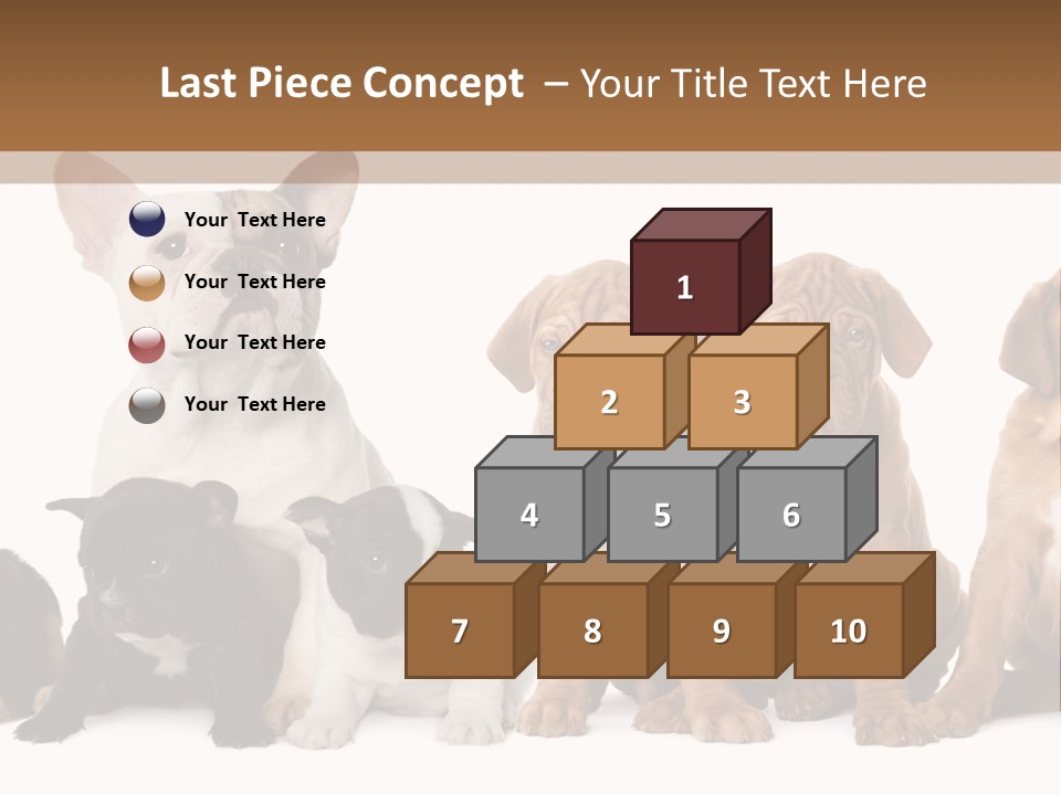 Pet Veterinary PowerPoint Template