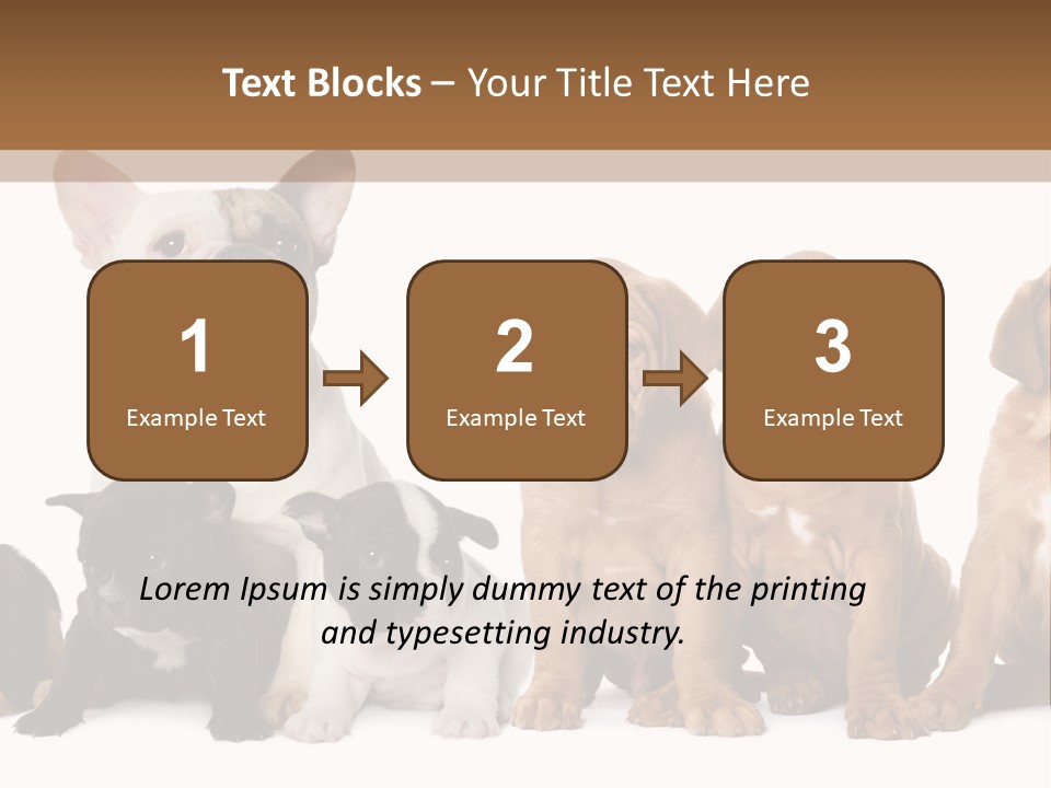 Pet Veterinary PowerPoint Template